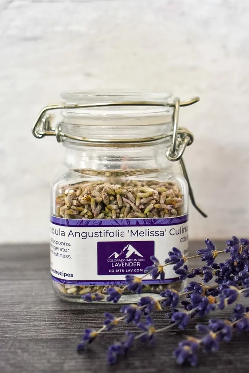 Lavender Farm — Colorado Mountain Lavender
